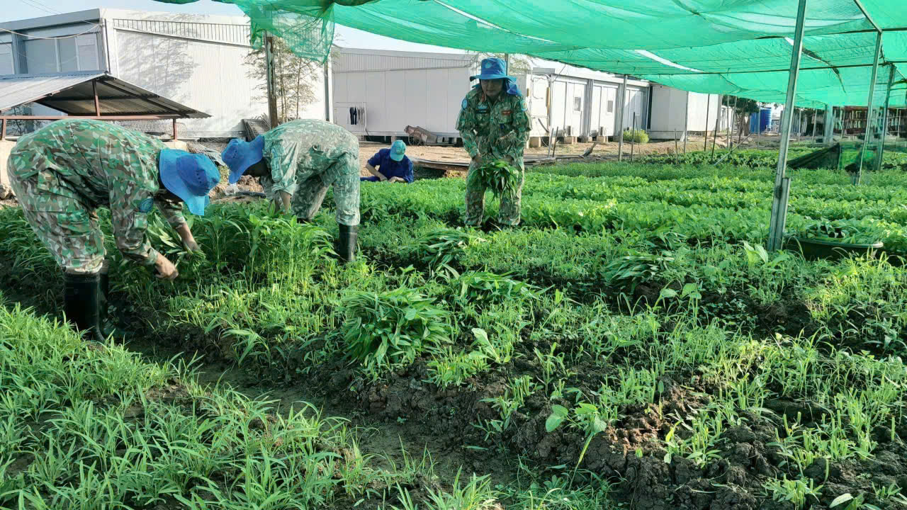 /UploadStore/admin/251115 dcb4/805ea2e6d22a5e74073b.jpg